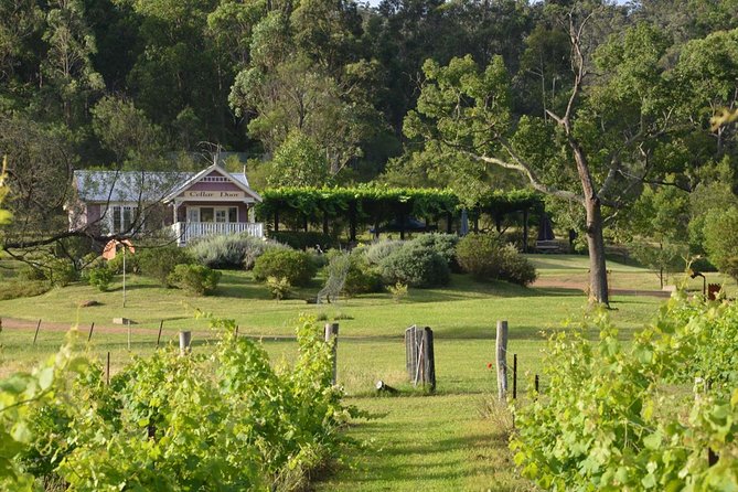 Chef-Led Hunter Valley Gourmet Food and Wine Day Tour From Sydney - Wine and Food Pairing Experiences