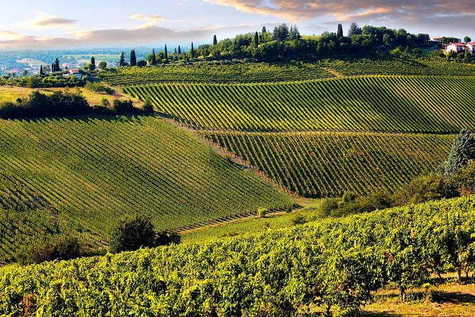 Chianti Half-Day Wine Tour in the Tuscans Hills From Pisa - Additional Information and Highlights