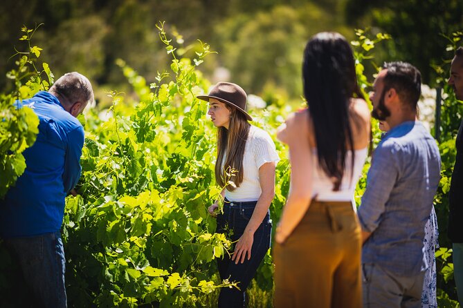 Cider, Wine & Whiskey Tour: Small Group Full-Day Tour From Perth - What to Expect and Tips