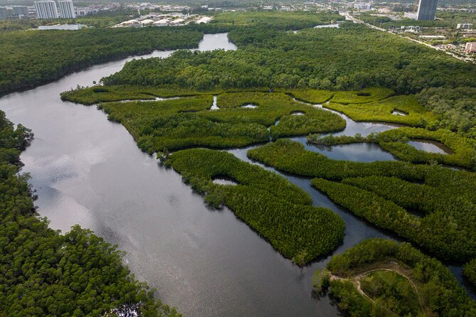 Clear Kayak Tour in North Miami Beach - Mangrove Tunnels - Customer Feedback