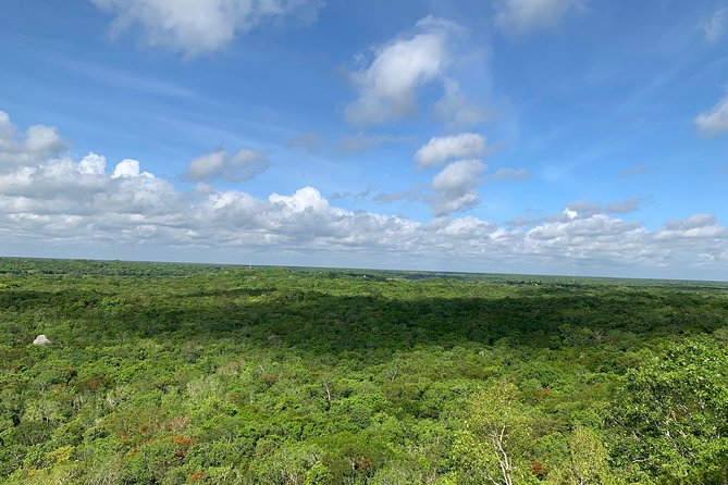 Coba Ruins and Punta Laguna Monkey Reserve Day Tour From Tulum - Tour FAQs