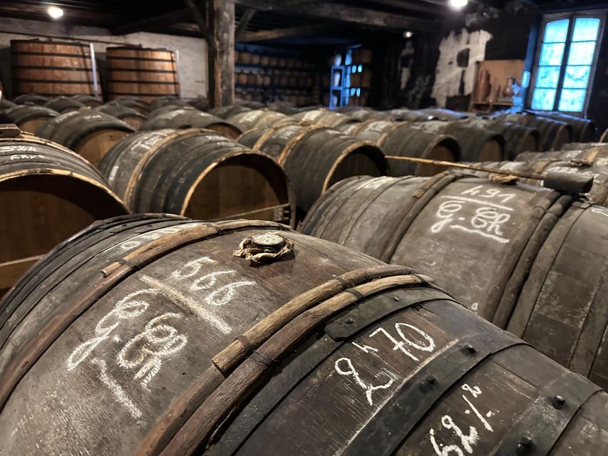 Cognac: Private Tour From Bordeaux - Exclusive Insights
