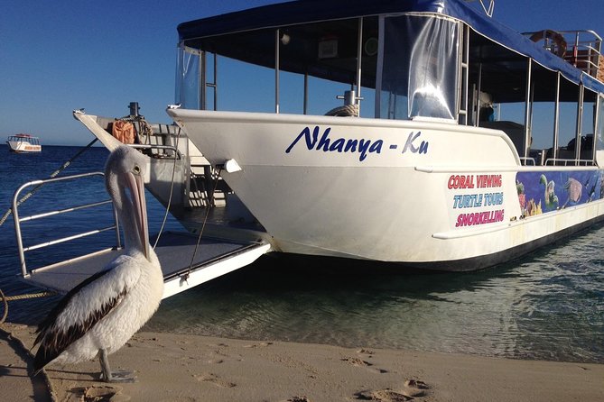 Coral Bay 1-Hour Coral Viewing - Tour Reviews and Testimonials