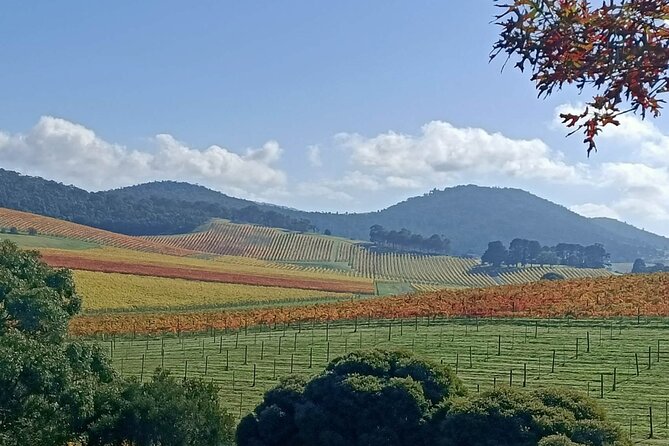 Customized Private Winery Day Tour in Yarra Valley at Your Own Choices - What to Expect on Tour