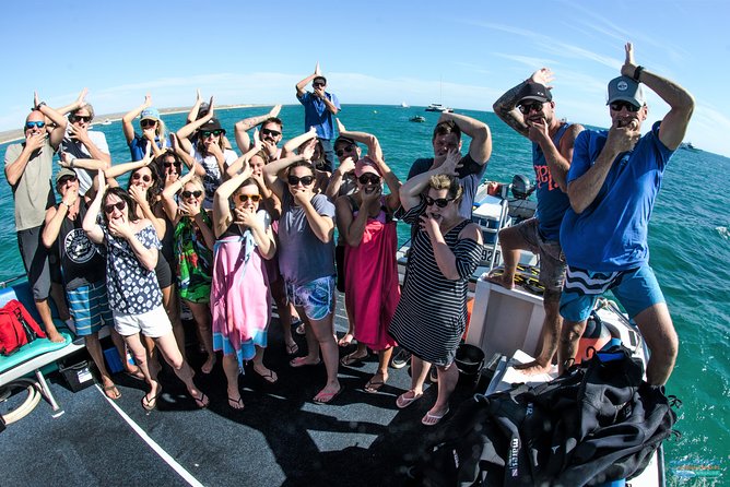 Deluxe Mega Fauna Humpback or Whaleshark Swim Ningaloo Reef - Swimming With Gentle Giants