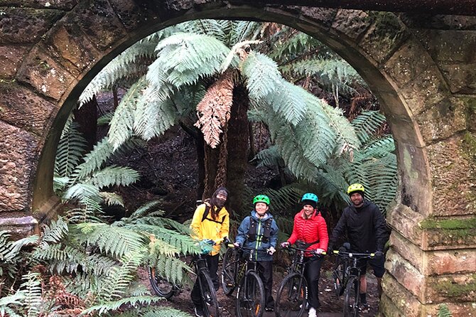 Easy Bike Tour - Mt Wellington Summit Descent & Rainforest Ride - Scenic Route and Attractions