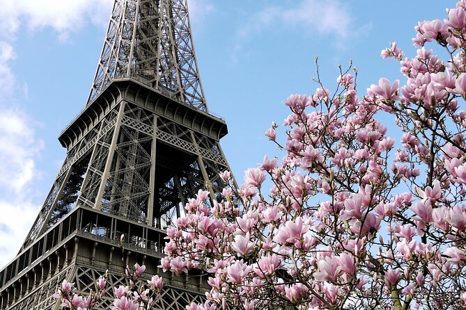 Eiffel Tower Summit Semi-Private Guided Tour - Tour Details and Customer Satisfaction Overview