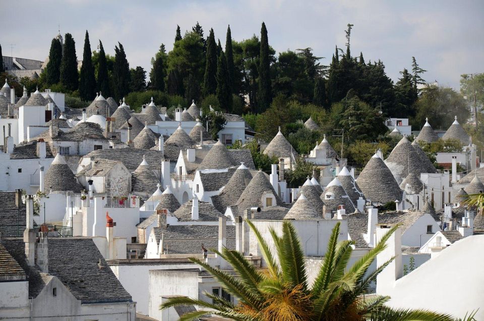 Exploring Alberobello – Private Family Walking Tour - Booking Information