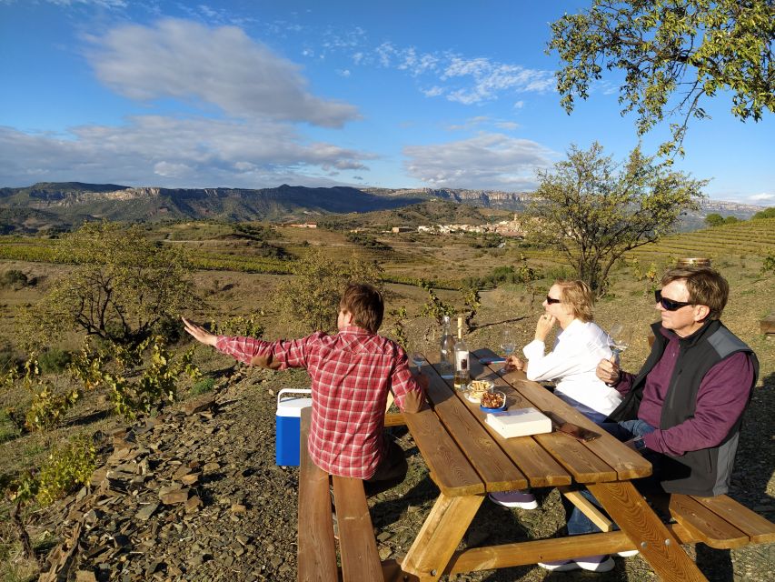 Falset: Guided Wine Tour to the Priorat by a Local - Booking Information