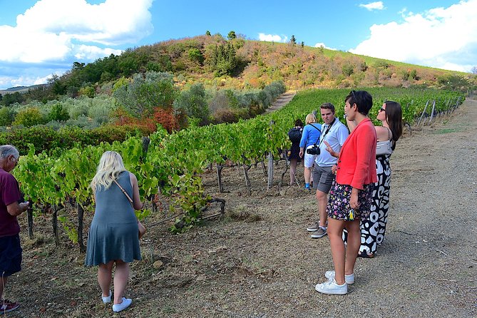 Florence to Chianti Region Wine Tour Including Lunch, Dinner - Cancellation Policy Details