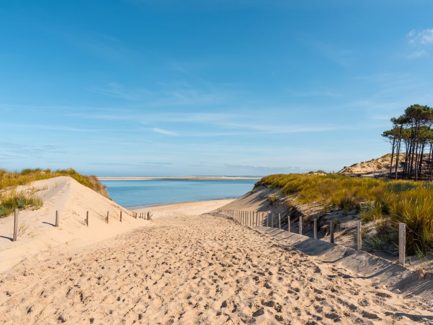 From Bordeaux: Arcachon and Pilat Dune Private Tour - Inclusions Provided