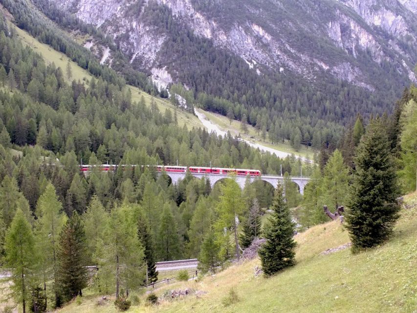 From Lake Como: Bernina Red Train Tour to St. Moritz - Customer Review