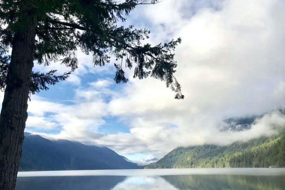 From Seattle: Olympic National Park Full-Day Tour - Lake Crescent Beauty