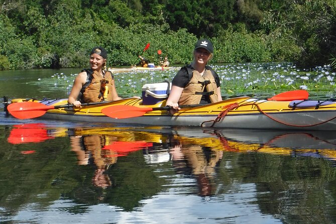 Full-Day Guided Noosa Everglades Kayak Tour - Expert Guidance and Safety