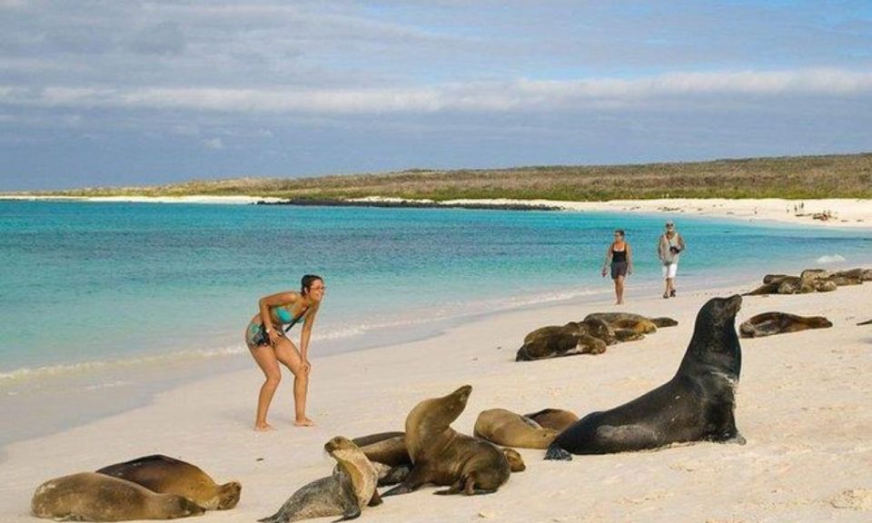 Full Day Leon Dormido and Lobos Island Tour - Additional Information