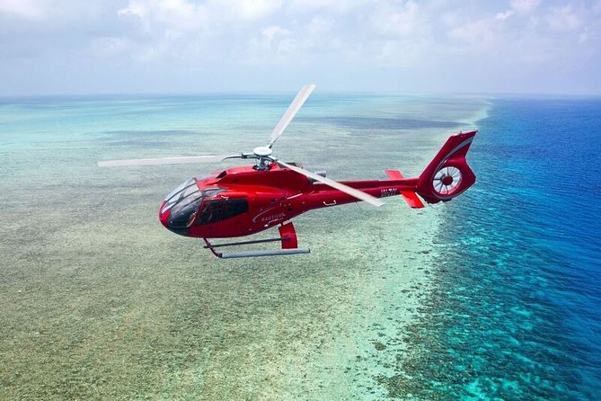 Full Day Reef Cruise and 10 Minute Helicopter Scenic Flight - Inclusions and Equipment