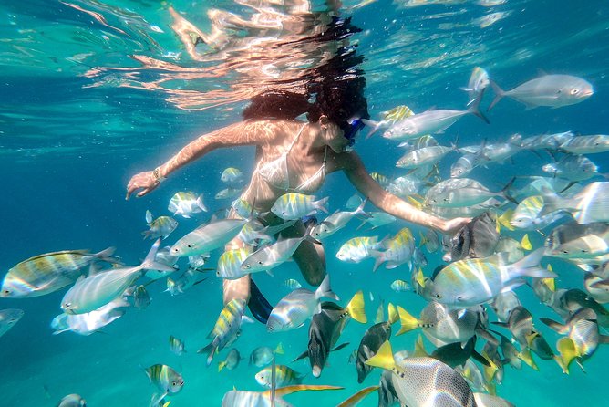 Glass-Bottom Boat Ride and Snorkel Tour in Cabo San Lucas - Additional Information and Resources