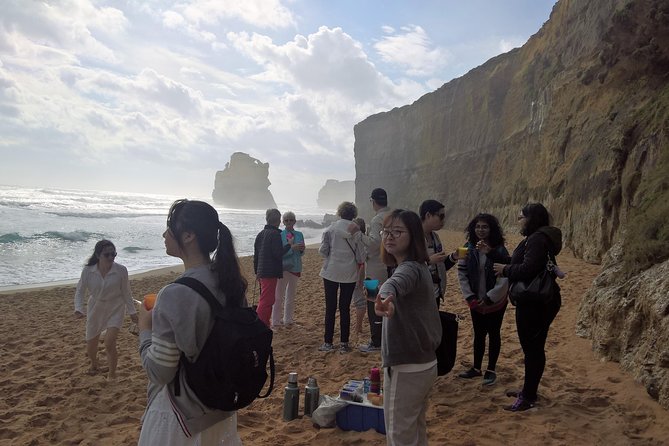 Great Ocean Road Full Day Private Experience - Accessibility and Special Needs