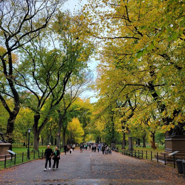 Guided Deluxe Pedicab Tour in Central Park - Inclusions