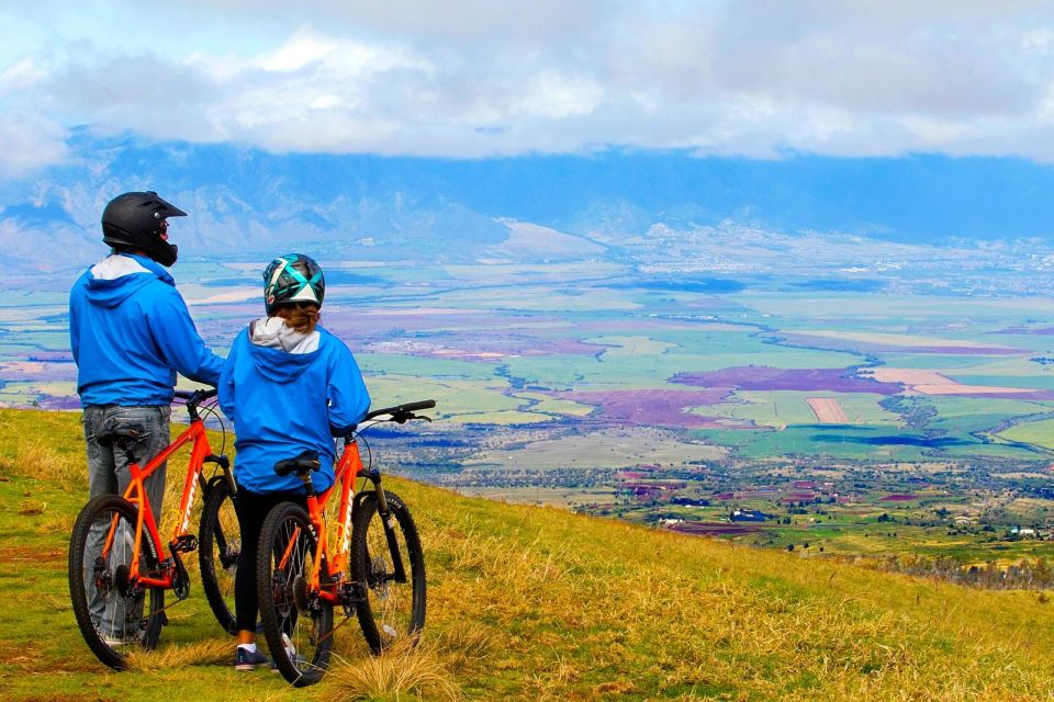 Haleakala Guided Bike Tour With Bike Maui (Daytime) - Detailed Tour Description