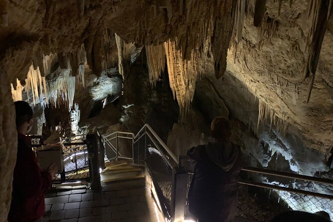 Hastings Caves, Tahune and Huon Valley Full Day Tour From Hobart - Meeting and Pickup Details