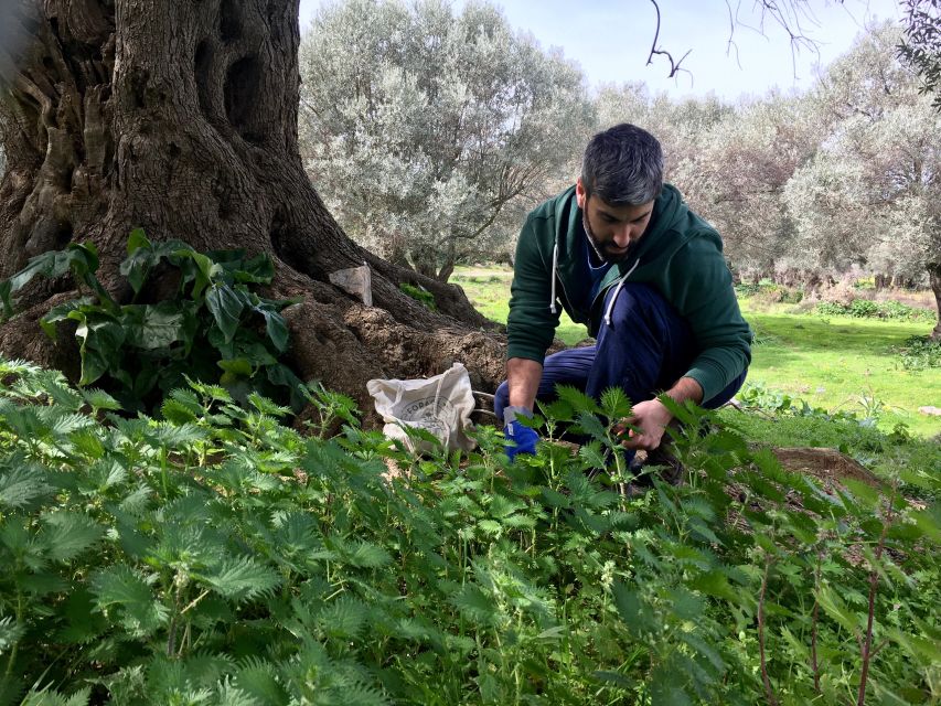 Heraklion: Cooking Workshop and Dinner at a Village House - Pricing and Inclusions