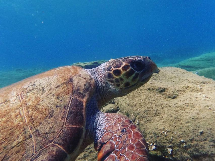 Heraklion: Scuba Diving Experience for Beginners - Important Information