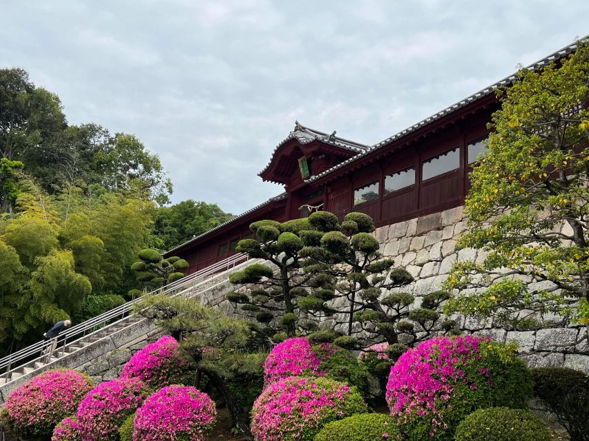 Hiroshima: Spring Morning Hiking Tour With Tea Ceremony - Participant Information