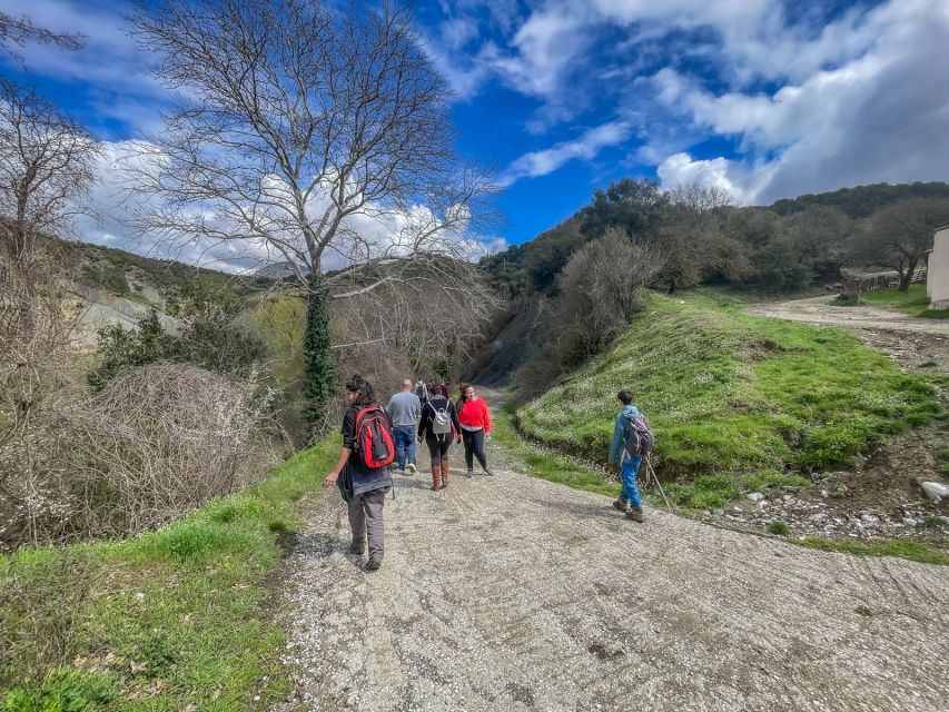 Ioannina: East Zagori Farming Experience & Cooking Class - Culinary Experience Inclusions