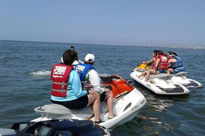 Jet Ski Safari in Puerto Vallarta - Customer Reviews and Wildlife Encounters