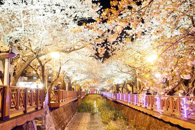 Jinhae Cherry Blossom Festival Tour - Pricing and Booking Details