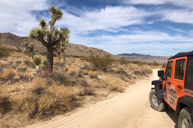 Joshua Tree National Park Offroad Tour - Tour Guides