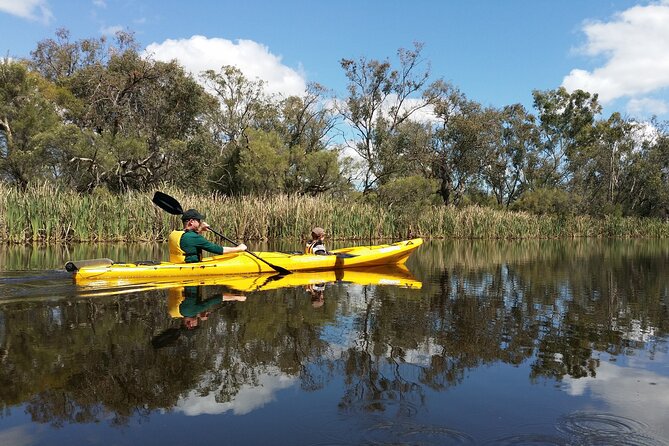 Kayak Tour on the Canning River - Real Traveler Reviews and Ratings