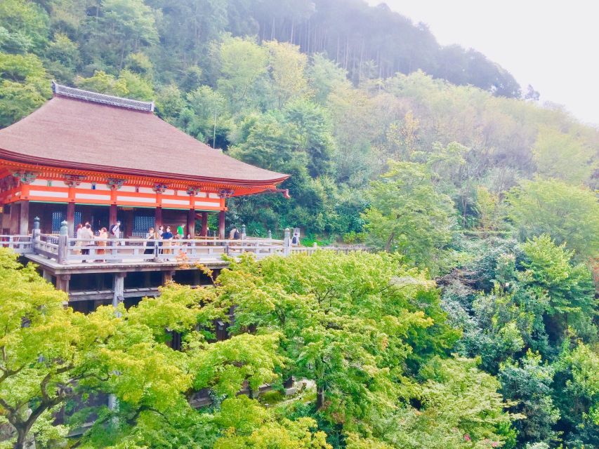 Kyoto: Private Guided Tour of Temples and Shrines - The Philosophers Path Visit