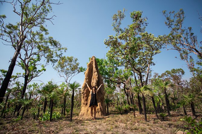 Litchfield National Park & Fogg Dam or Crocodile Cruise - Day Trip From Darwin - Optional Jumping Croc Cruise