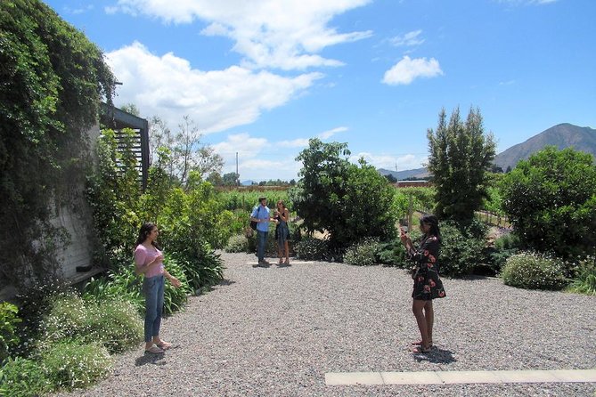 Maipo Valley Litle Wine Bus From Santiago - Small Group Setting