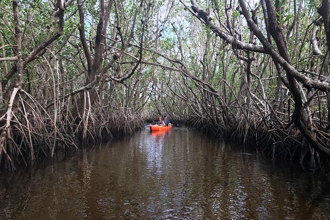 Manatees and Mangrove Tunnels Small Group Kayak Tour - Tour Highlights and Viator Information