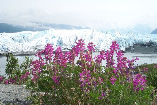 Matanuska Glacier Winter Tour - Common questions