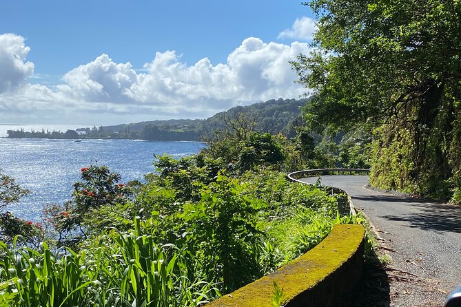 Maui by Storm: Epic Private Luxury Road to Hana Adventure Tour - Overall Experience and Recommendations