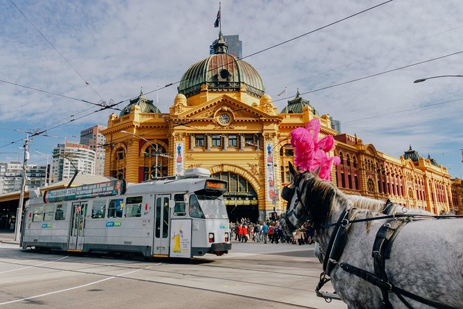 Melbourne One Day Tour With a Local: 100% Personalized & Private - Tour Logistics and Details
