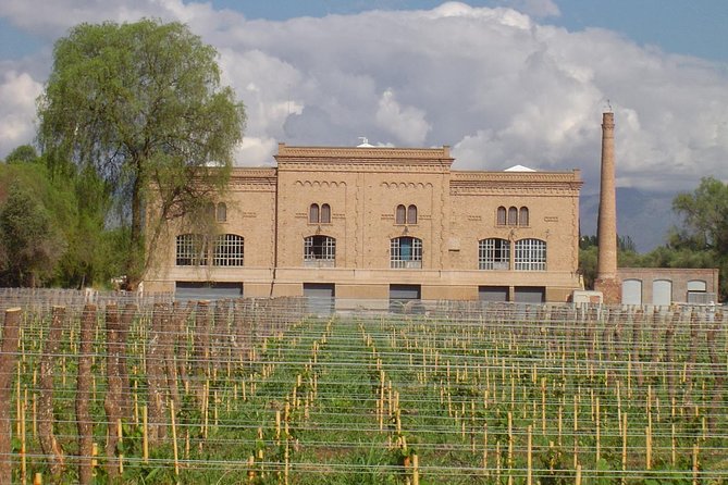 Mendoza to Maipu Wineries: Wine Tasting Group Tour With Lunch  - Mendoza Province - Additional Information and Resources