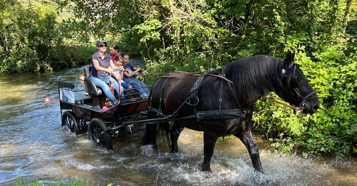 MENTHEVILLE : Horse-Drawn Carriage Ride in the Countryside - What to Expect on Tour