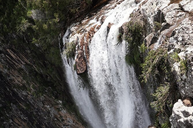 Minyon Falls: Explore the Rainforest - Safety Guidelines and Tips