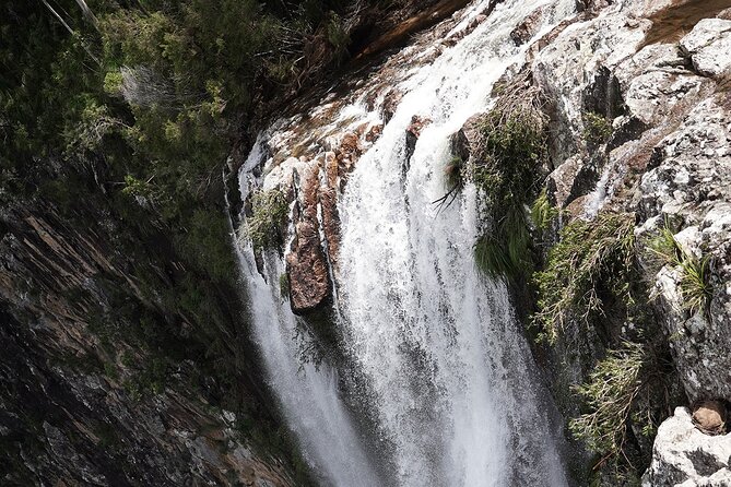 Minyon Falls Full-Day Walking Tour - Before You Book Your Tour