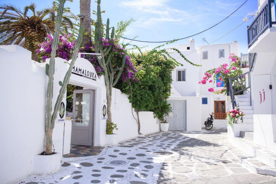 Mykonos Island Private Tour - Booking Information