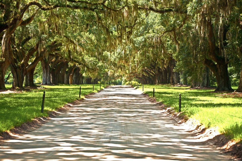 New Orleans: Single Plantation and Pontoon Swamp Day Trip - Customer Reviews