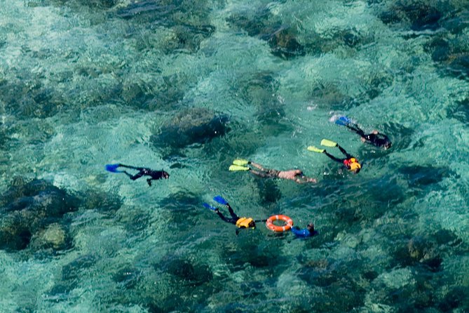 Ocean Freedom Great Barrier Reef Luxury Snorkel and Dive Cruise - Snorkeling and Diving Options