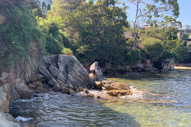 Our Best Hidden Harbour Beaches Tour - Physical Demands and Suitability