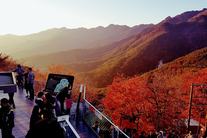 Palgongsan Natural Park Autumn Foliage One Day Tour From Busan - Meeting and Pickup Information