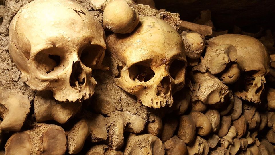 Paris: Skip-the-Line Catacombs Tour and Seine River Cruise - Price